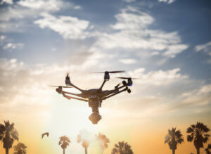 Drone, UAV, Palmtrees