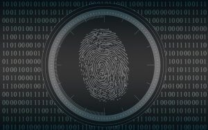 Biometric Authentication
